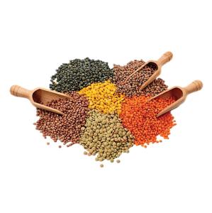 Dals & Pulses